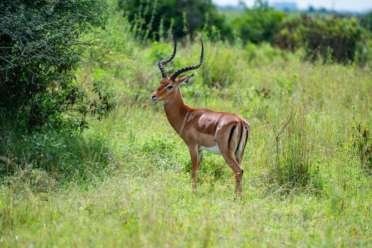 Malka Mari National Park